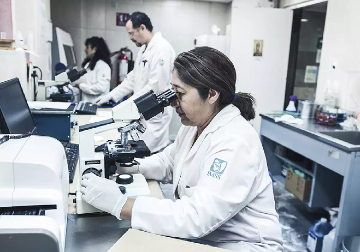 imss