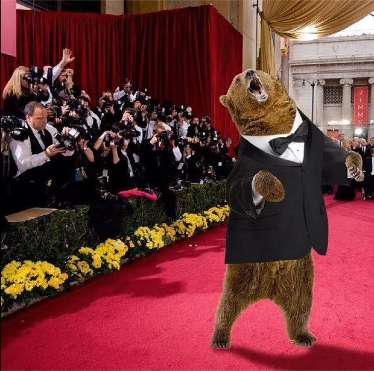 El oso de The Revenant ya llegó a la alfombra roja de la premiación.