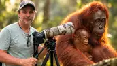 Gerardo del Villar fotografía fauna silvestre en la selva de Borneo, mientras una orangutana de Borneo sostiene a su cría entre la vegetación.