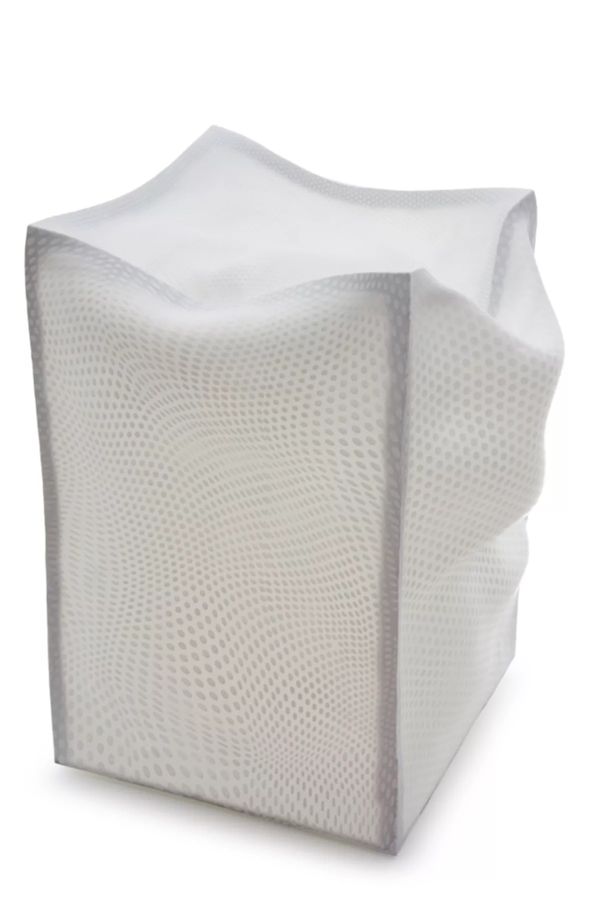 Sachi Fujikake copia