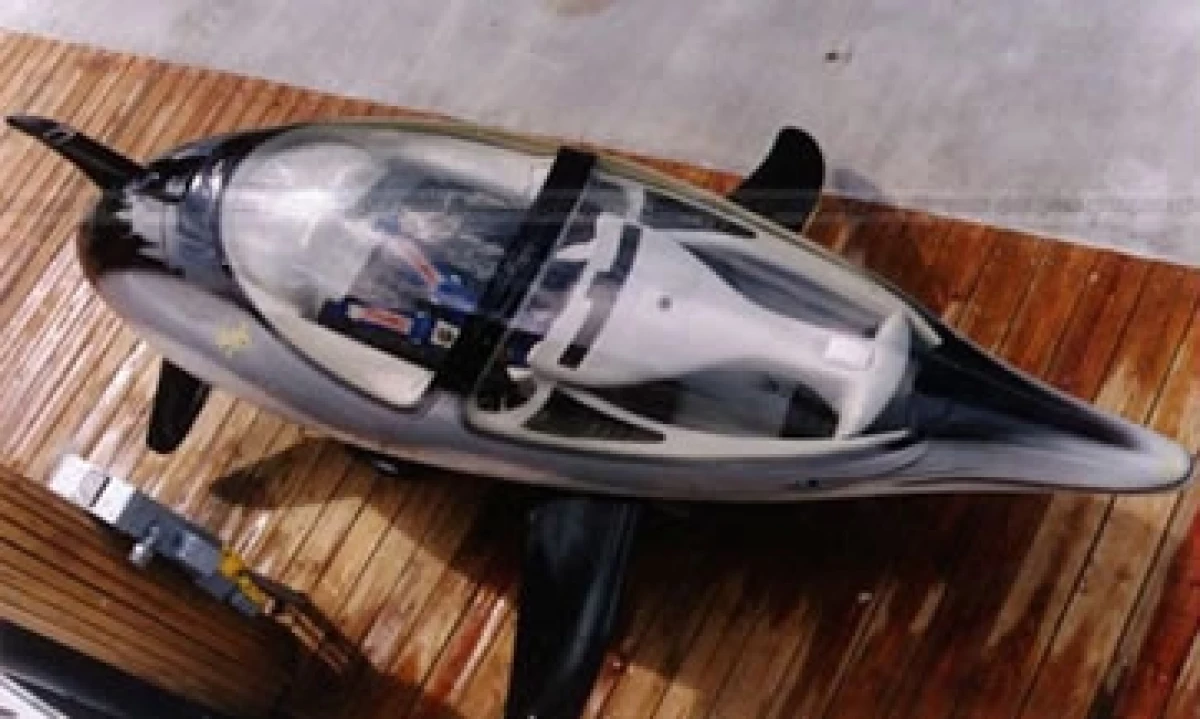 delfin robot 2