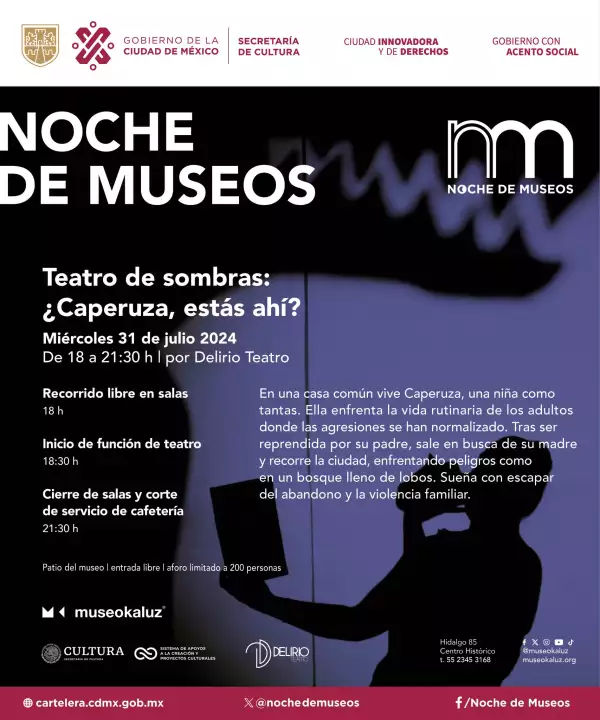 noche-museos-teatro-sombras-.jpg