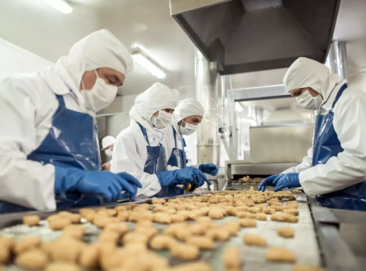 f�brica de alimentos, galletas