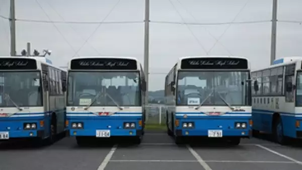 Autobus