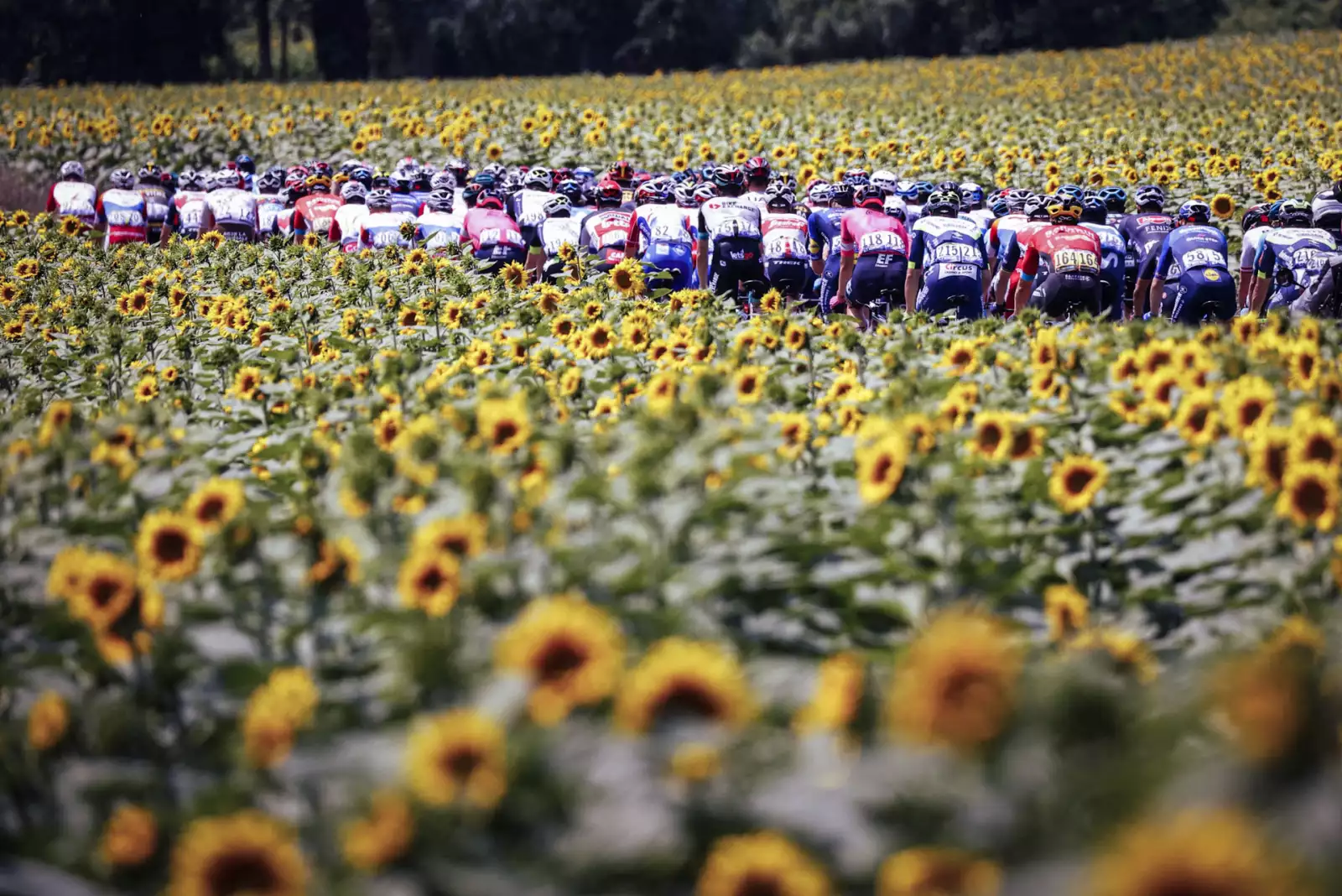 CYCLING-FRA-TDF2021-STAGE14