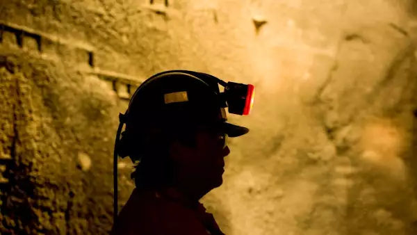 Síndrome del caso brillante: cuando el ego pone en riesgo la seguridad