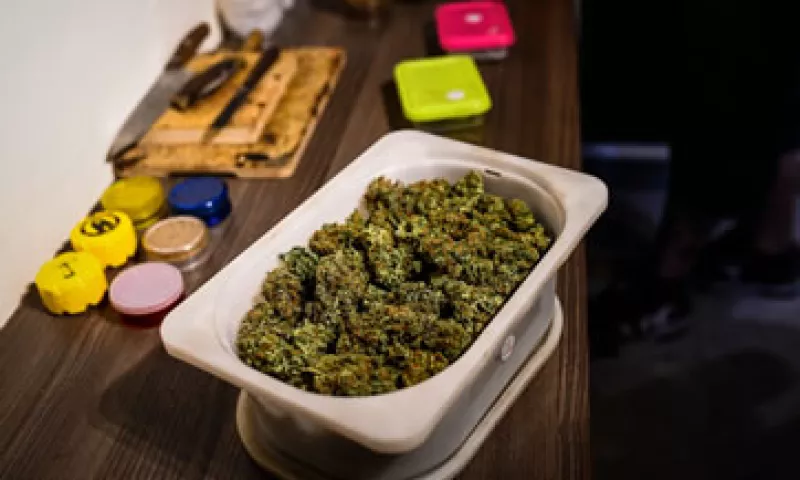 54 personas se registraron para el autocultivo en el hogar. (Foto: Getty Images)