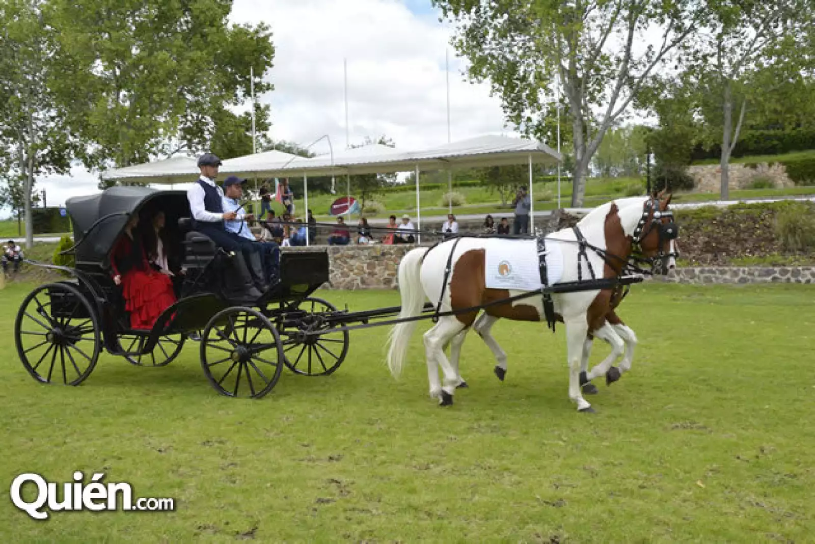 Exhibición de caballos Lucitanos