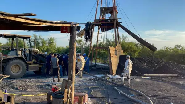 socio el pinabete vinculado a proceso