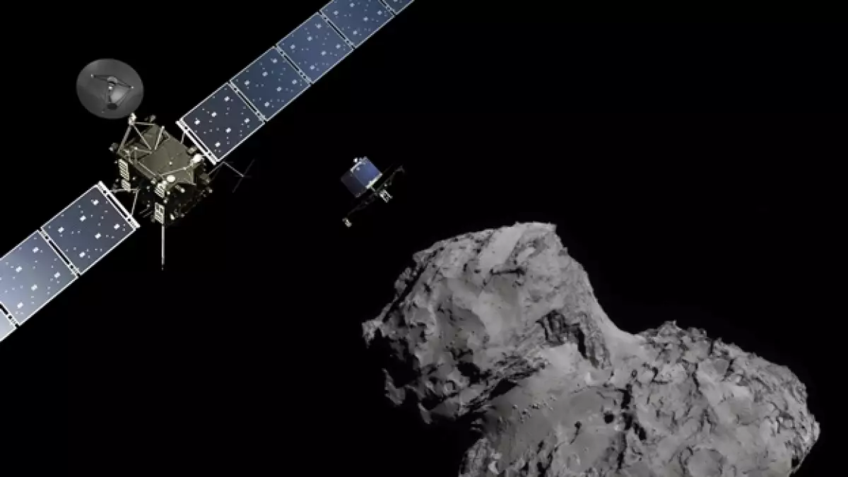 rosetta