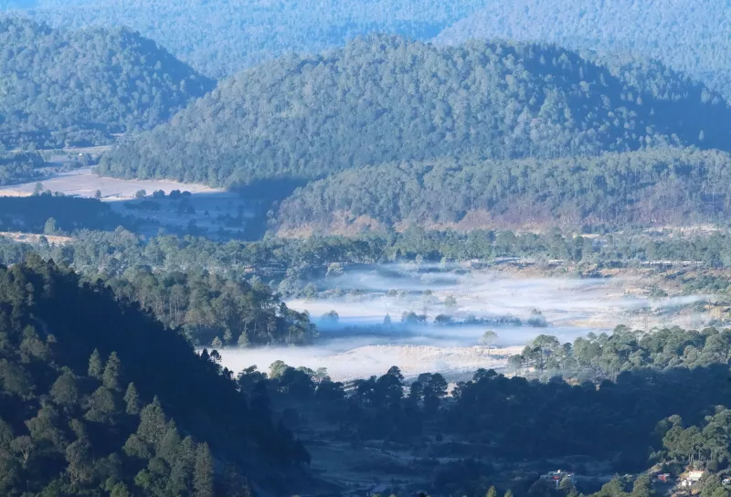 tlalpan-medio-ambiente