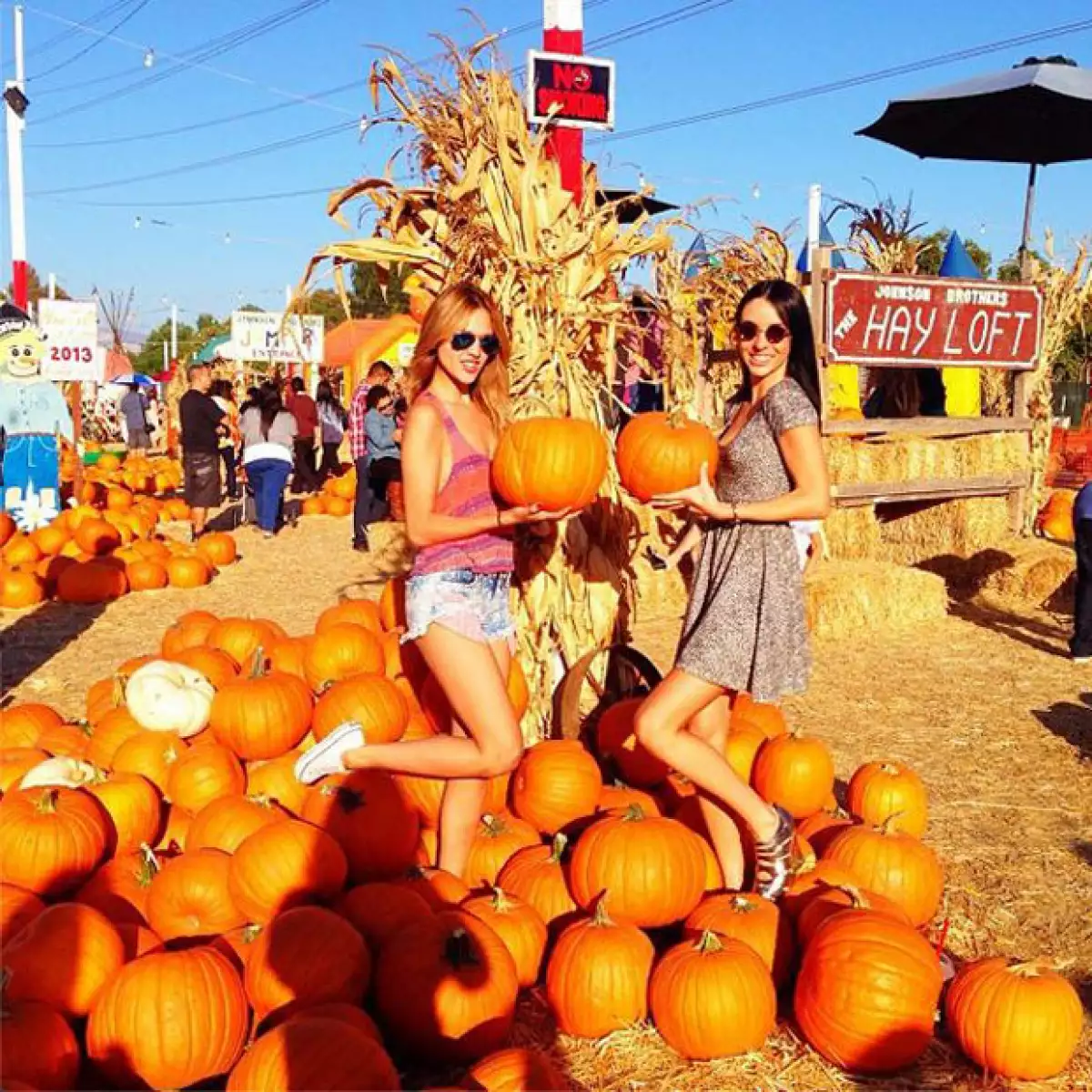 La actriz mexicana compartió a través de Instagram una fotografía en la que la vemos sentada sobre algunas calabazas siguiendo la tradición estadounidense de elegir una y decorarla para Halloween.