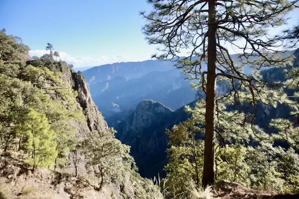 Barranca de Urique, desde el Cerro del Gallego