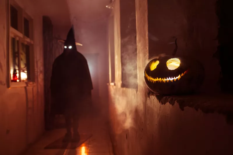 ¿Por qué nos apasiona el terror? La ciencia responde