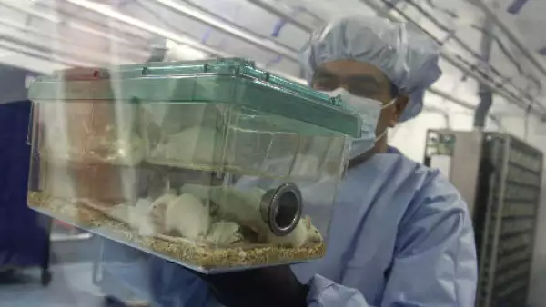 investigador laboratorio Cinvestav