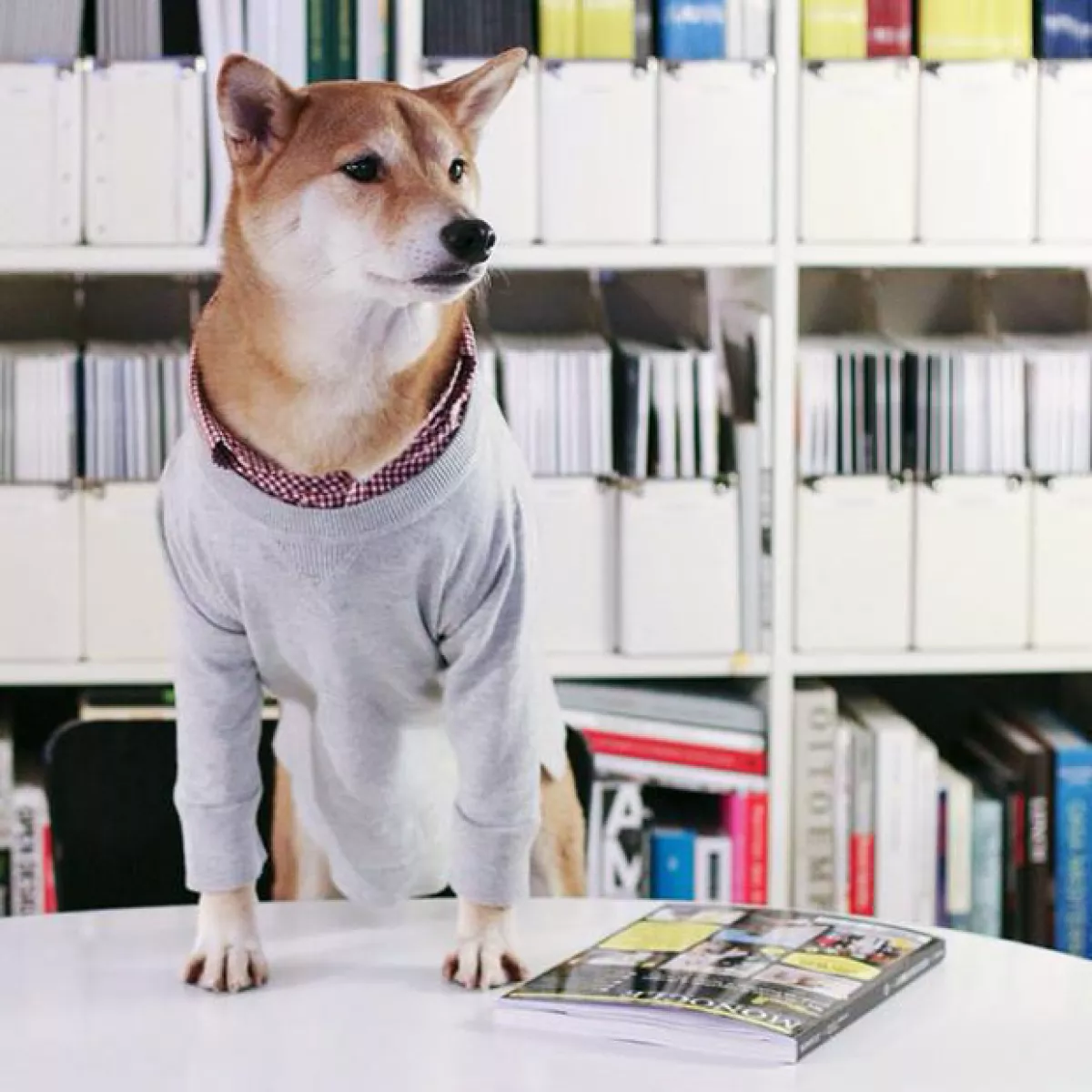 El éxito de las fotos de Budhi fue tal, que incluso se lanzó un libro en el que éste da consejos de cómo vestirse.