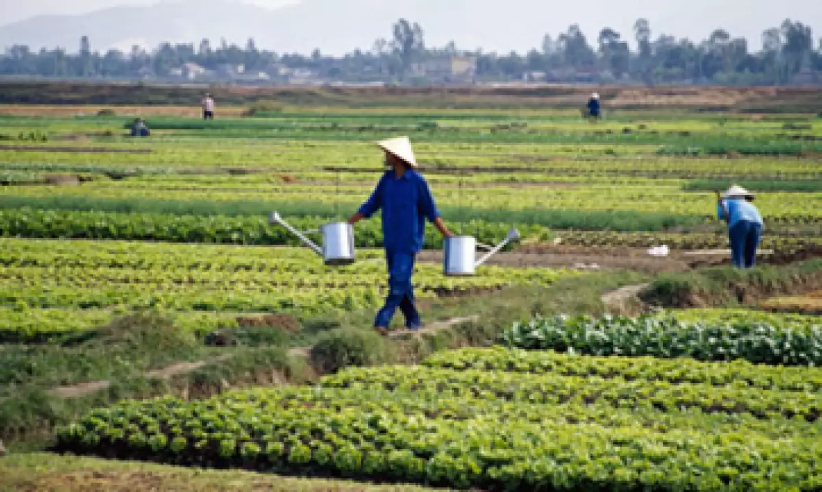 La ONU pidió más inversión a largo plazo en los sectores agrícolas en países pobres para que los agricultores aumenten sus producciones. (Foto: Thinkstock)