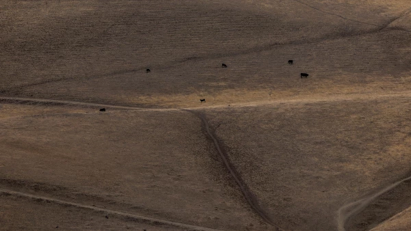 Ongoing drought in California