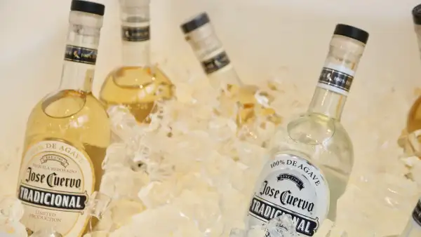 Botellas de tequila José Cuervo Tradicional reposado y blanco colocadas entre hielos en una hielera, con etiquetas visibles y líquido ámbar y transparente.