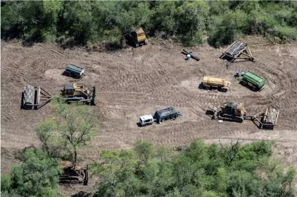 bosques-latinoamerica-deforestacion