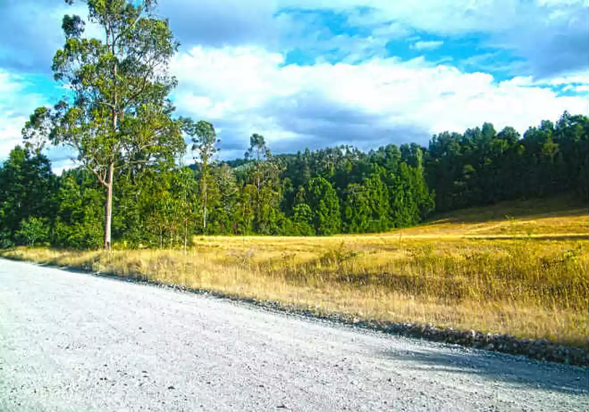 Camino Rural