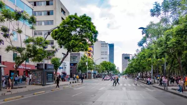 Marchas y bloqueos hoy en CDMX: vialidades afectadas y alternativas para evitar tráfico este 26 de noviembre