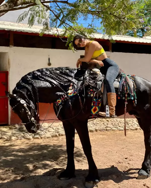 sngela-aguilar-fan-de-los-caballos.jpg