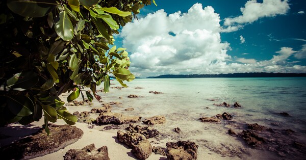 Havelock