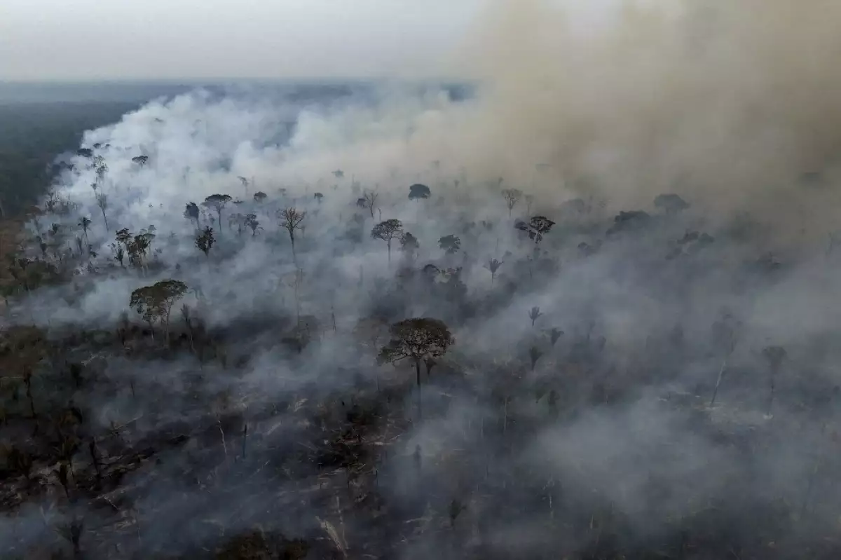 ¿Por qué la Amazonía y otros bosques en Sudamérica se están quemando?