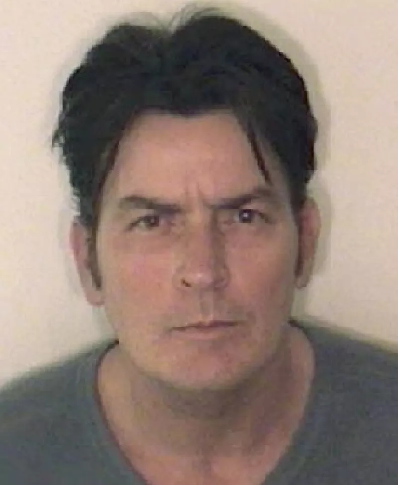 El astro de la exitosa serie televisiva Two and a Half Men, pasó la mayor parte de su Navidad en una celda en Colorado después de ser arrestado el viernes por cargos de presunta violencia doméstica.