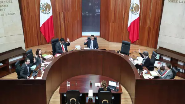 tribunal electoral_morena
