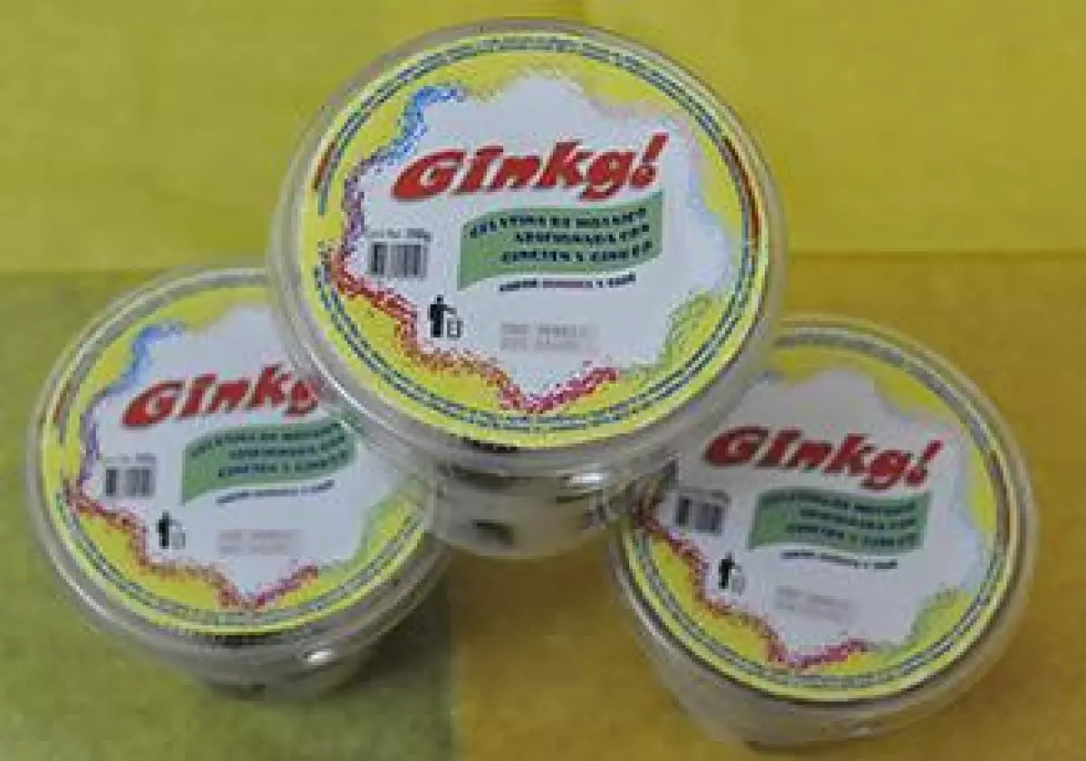 gelatina