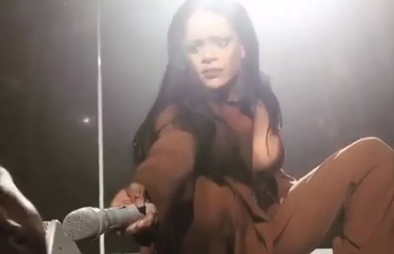 Cuando la cantante acercó el micrófono a uno de los asistentes a su concierto, jamás imaginó que tuviera tan impresionante talento.