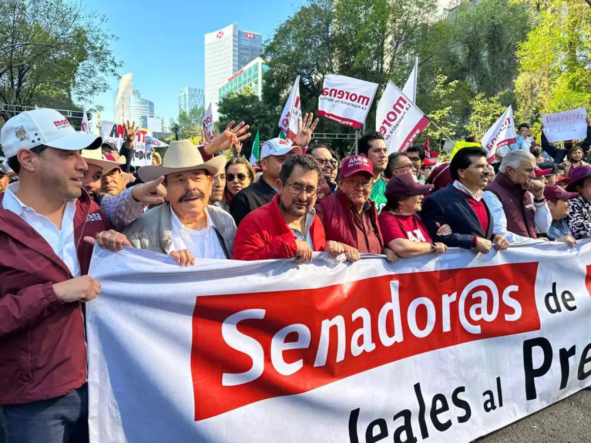 senadores marcha amlo