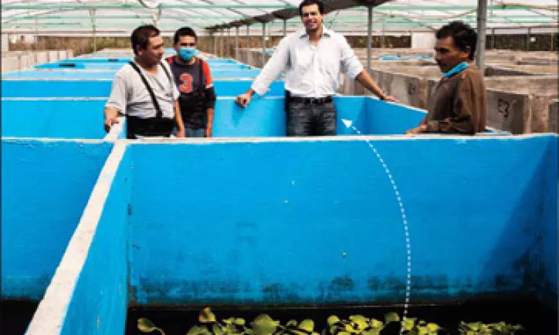 La empresa también desarrolla parásitos antiplagas. (Foto: Guylaine Coutollenc )