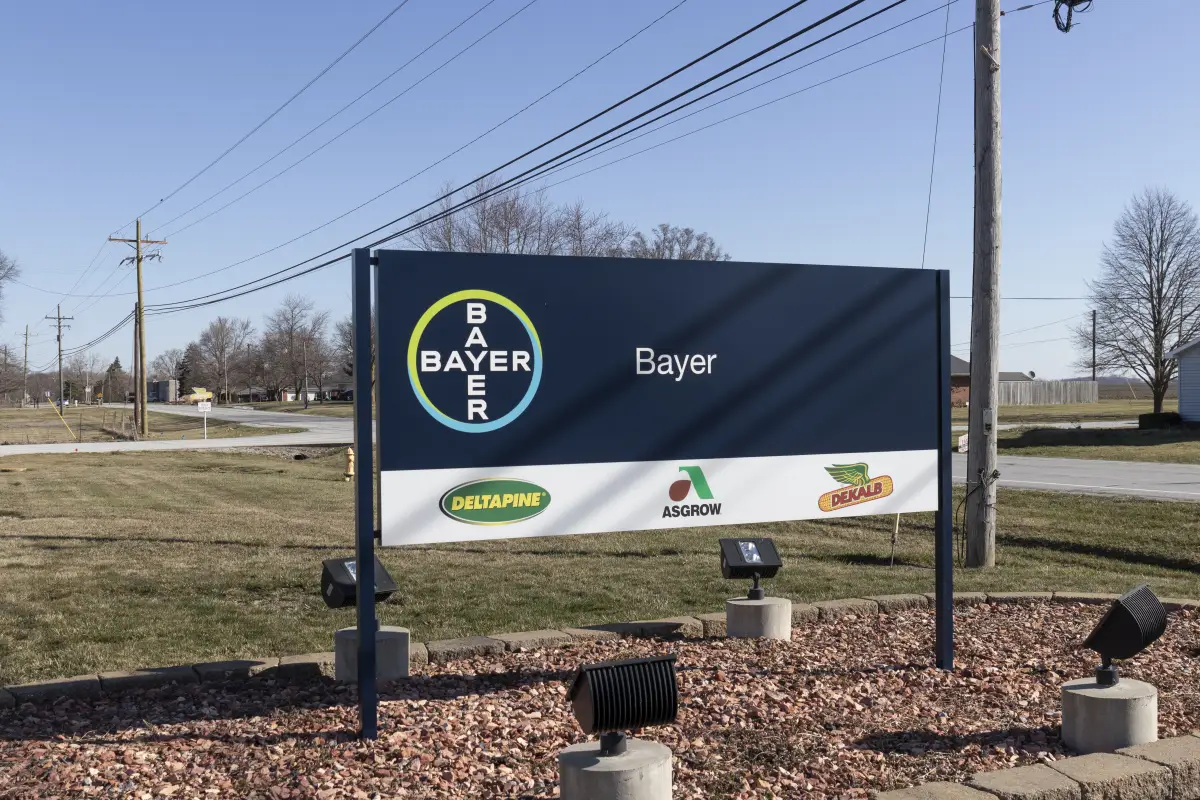 Bayer asegura que el uso de glifosato en pesticidas es seguro, mientras las autoridades dicen que causa daños a la salud. (IStock).