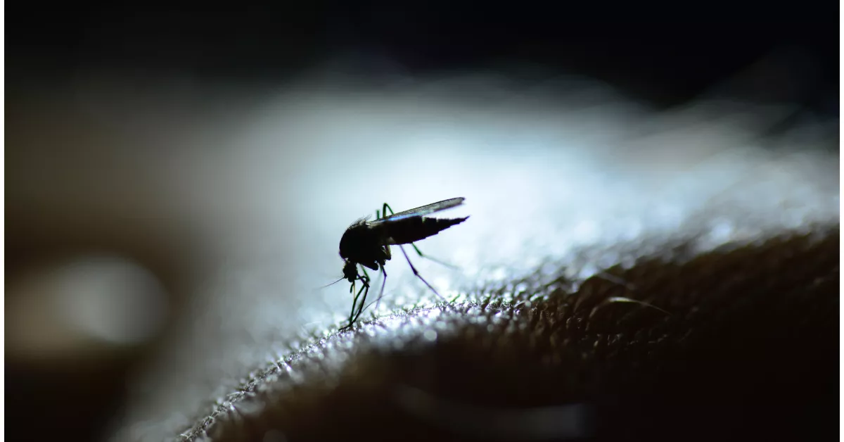 Dengue en México 2023