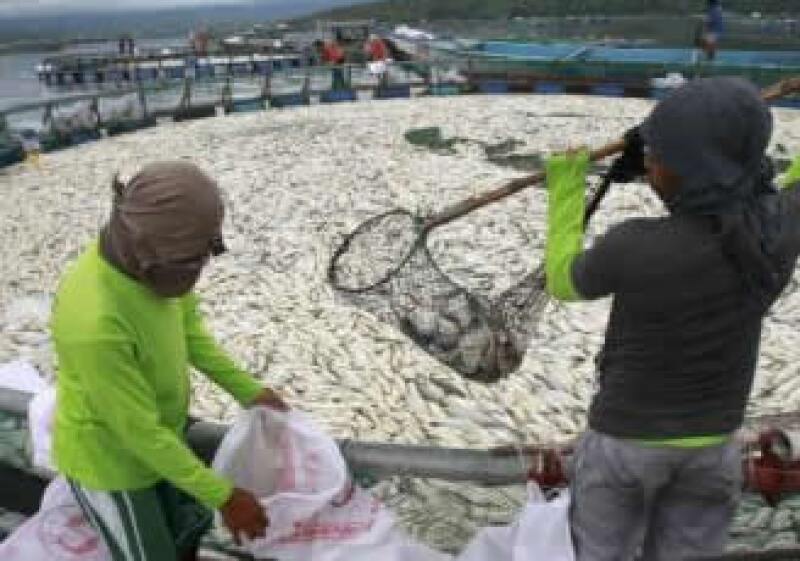 De enero de 2010 a la fecha la ayuda climática de los países ricos es de 16,200 millones de dólares. (Foto: Reuters)