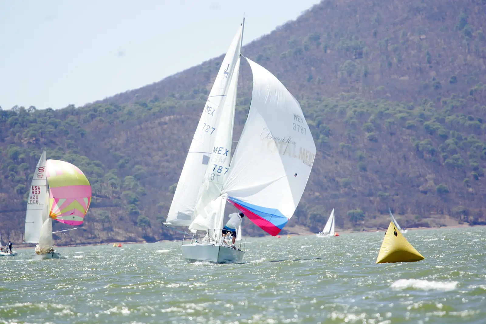 Copa Palacio 2017 