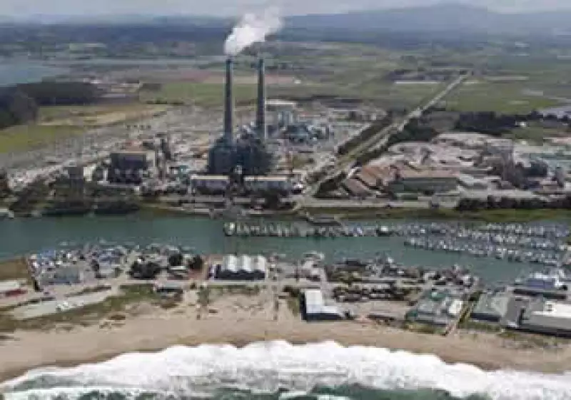 Para hacer el cemento, Calera toma el bióxido de carbono de la planta eléctrica  Dynegy. (Foto: Cortesía de Monterey Bay National Marine Sanctuary)