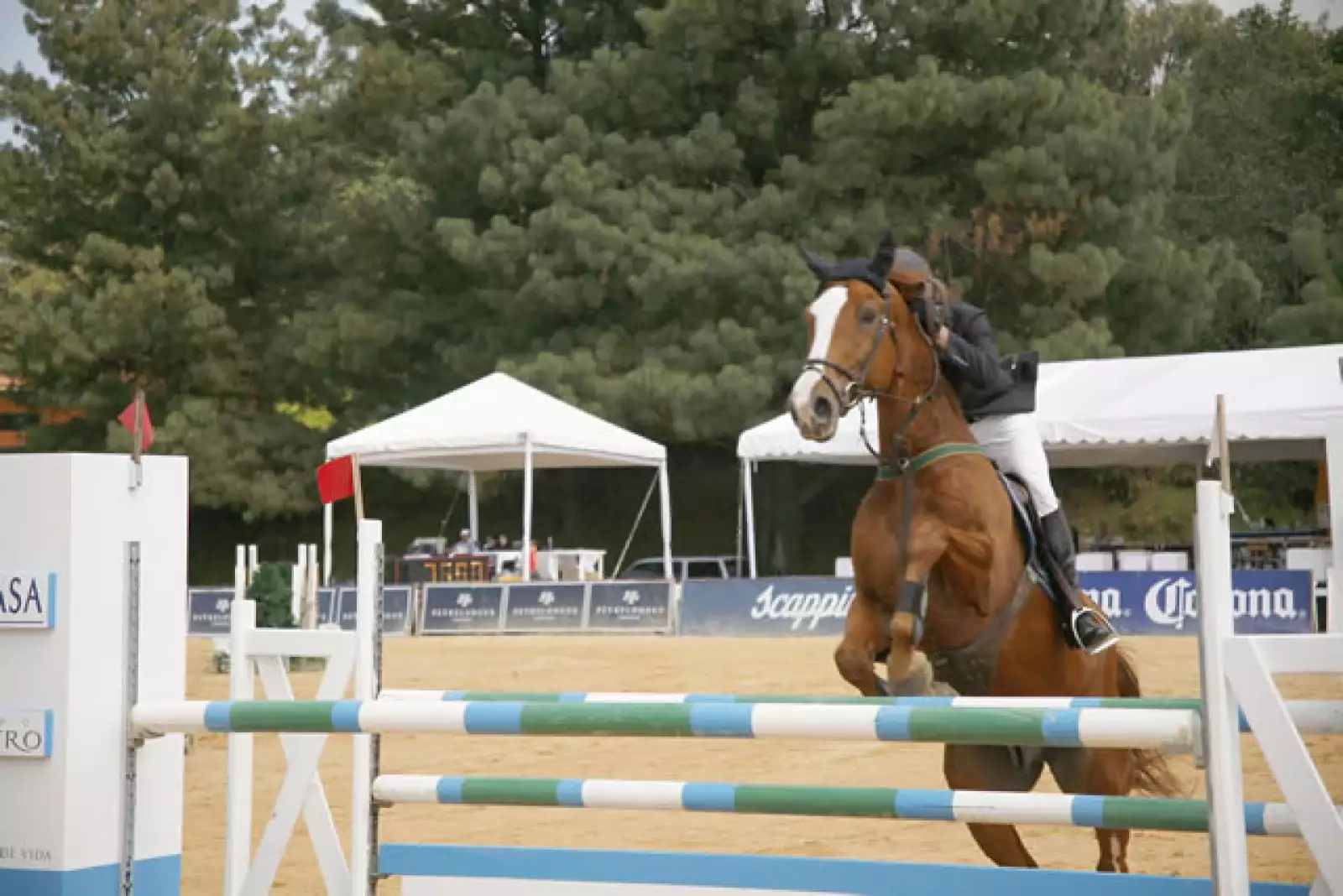 Peyrelonge poresentado por Scappino