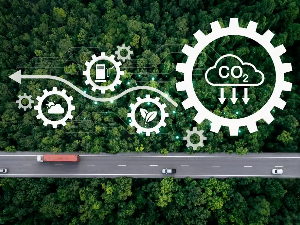La transformación empresarial a través de cadenas de suministro sostenibles
