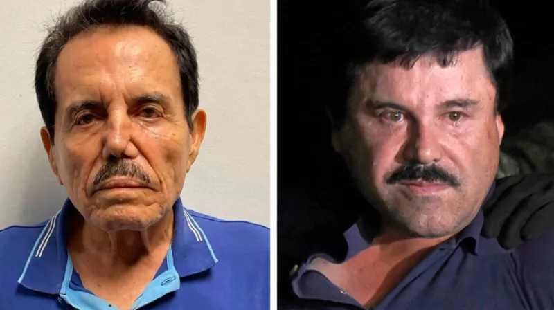 Chapo Mayo
