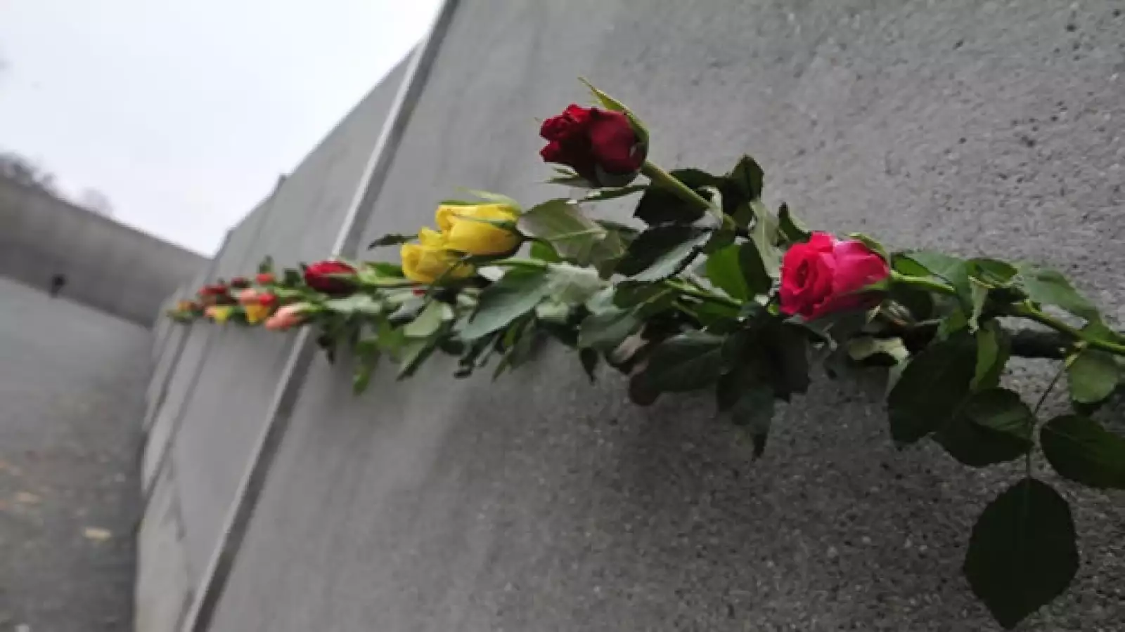 Muro Berlin rosas grieta