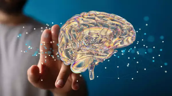 Hábitos para cuidar el cerebro