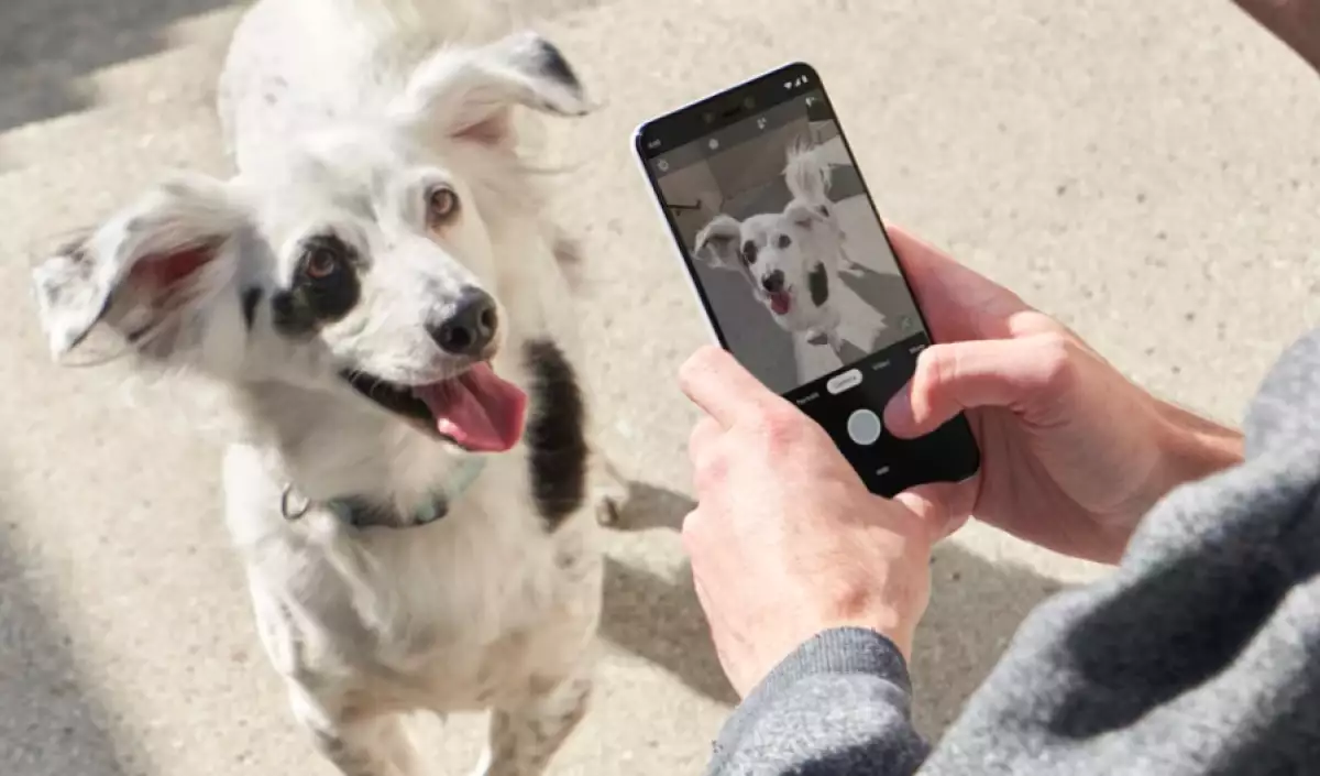 google pixel escaneo.jpg