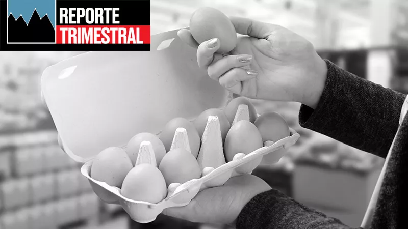 Bachoco baja en ventas. 