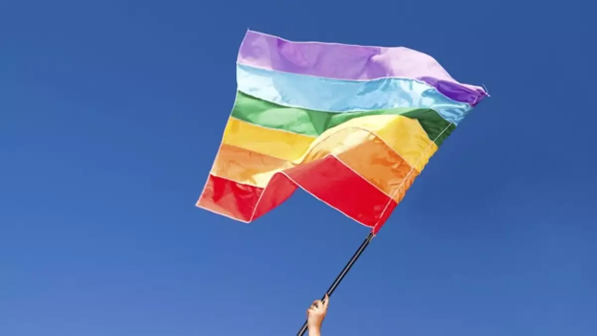 Brasil gays