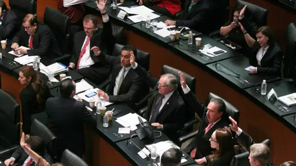 senado ley ingresos