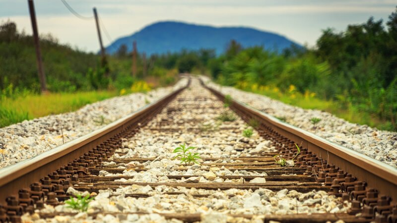 tren maya